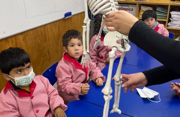 Conociendo el sistema óseo, Pre Kínder regular