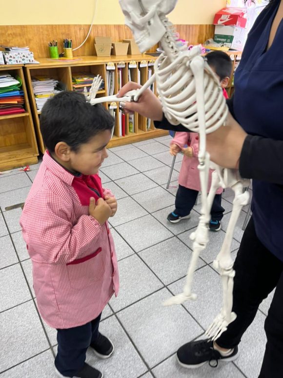 Conociendo el sistema óseo, Pre Kínder regular