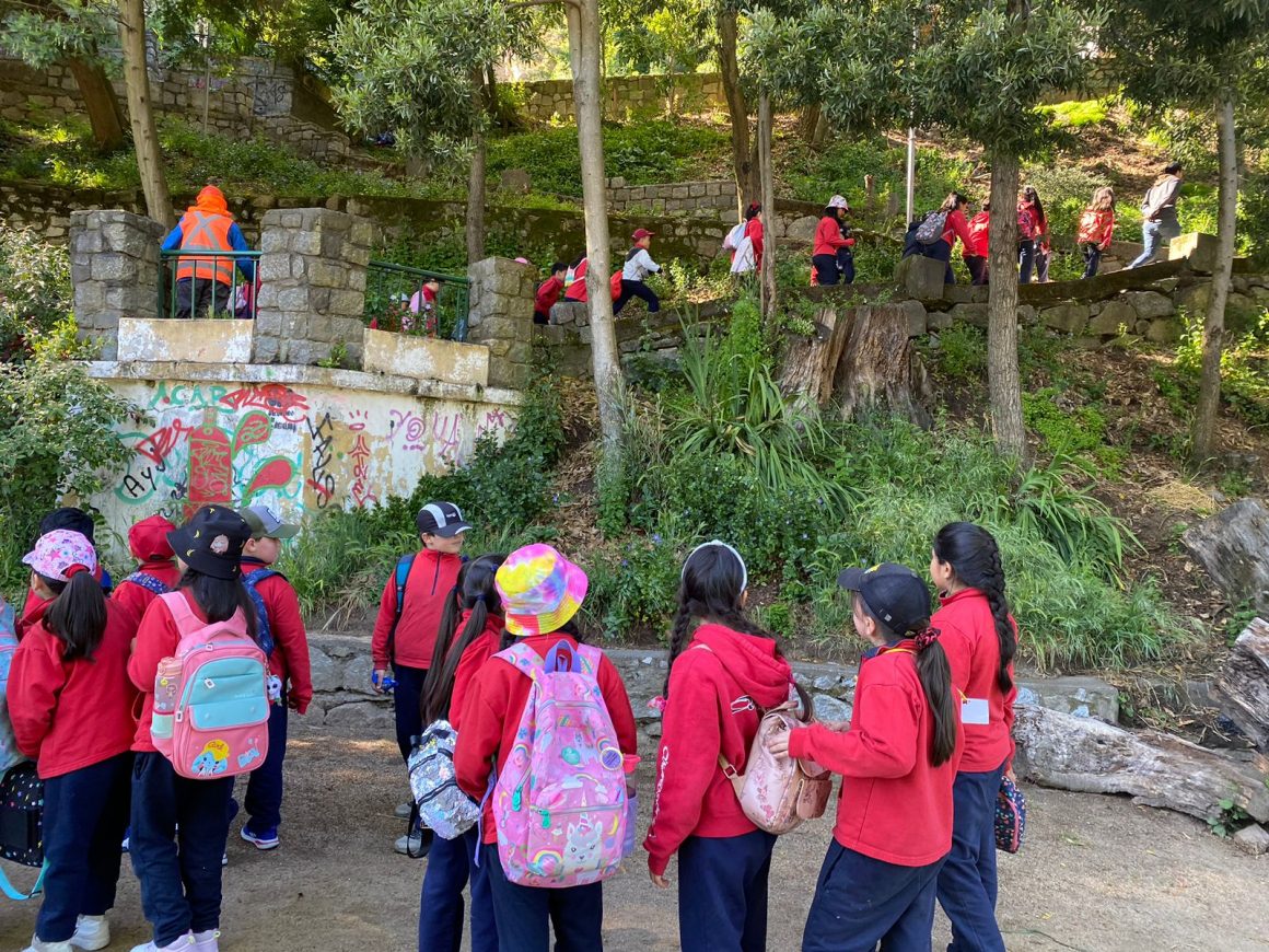 Estudiantes de 2do y 3ro básico aprenden en la naturaleza