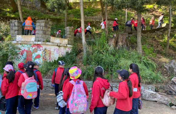 Estudiantes de 2do y 3ro básico aprenden en la naturaleza